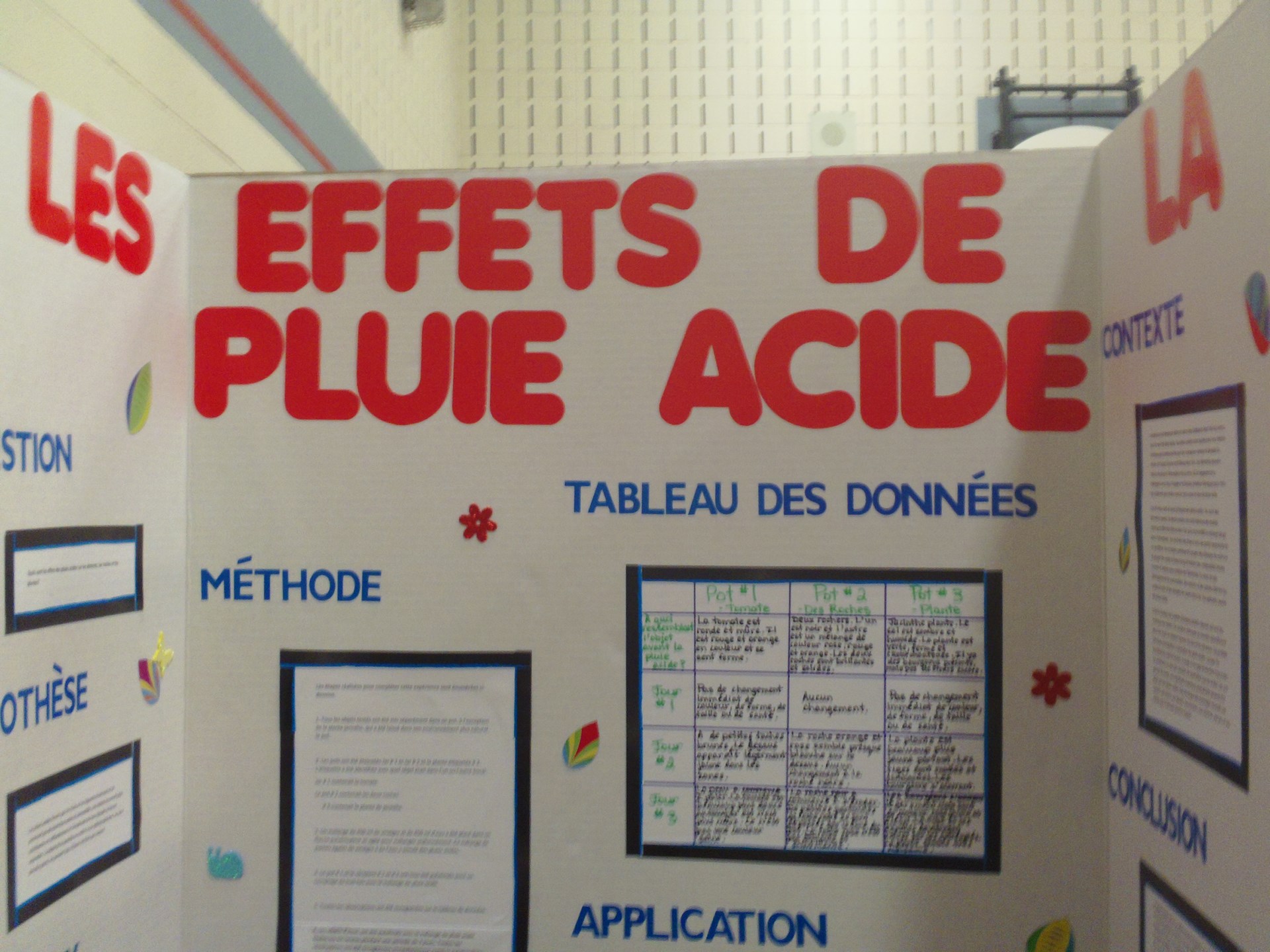 French Science Fair Project