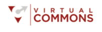 The Virtual Commons