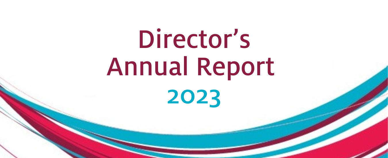 Website Banner - Director’s Annual Report.png