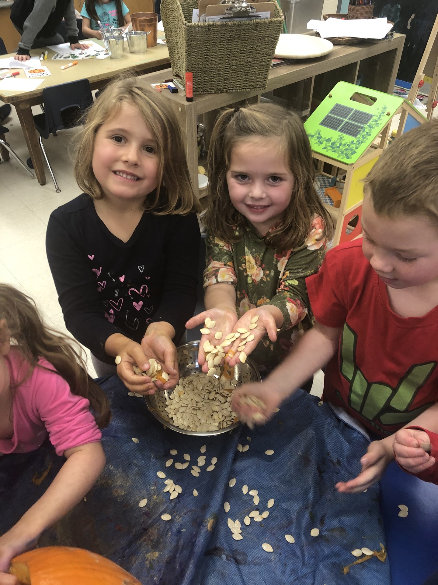 Students counting pumpkin seeds.