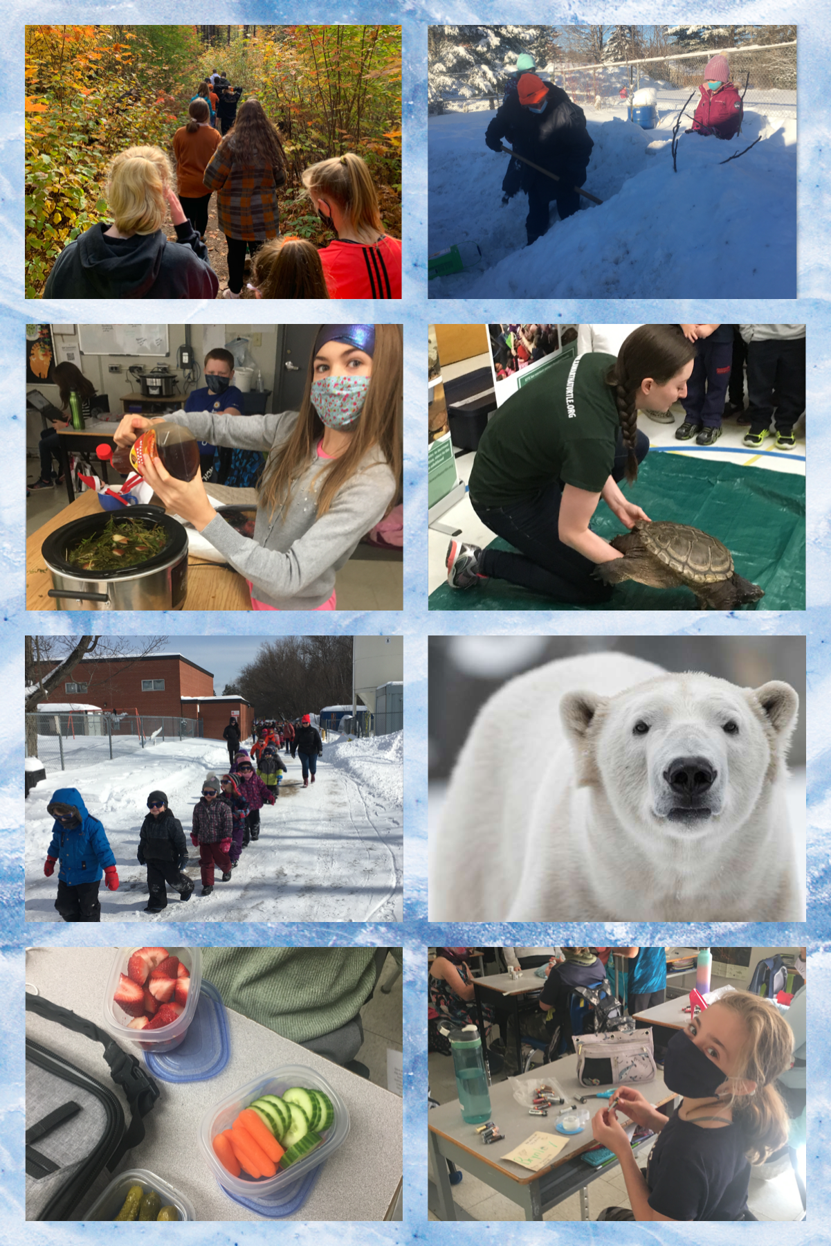 Collage of Eco School activities.