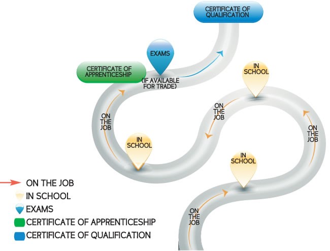 The Apprenticeship Pathway