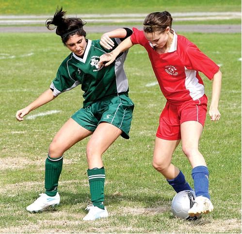 Two soccer players trying to get the ball.